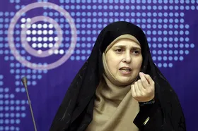 باورم نمی&zwnj;شد زنی که این همه دغدغه &laquo;بهتر&raquo; شدن وطن را دارد، تصمیم گرفته انصراف دهد