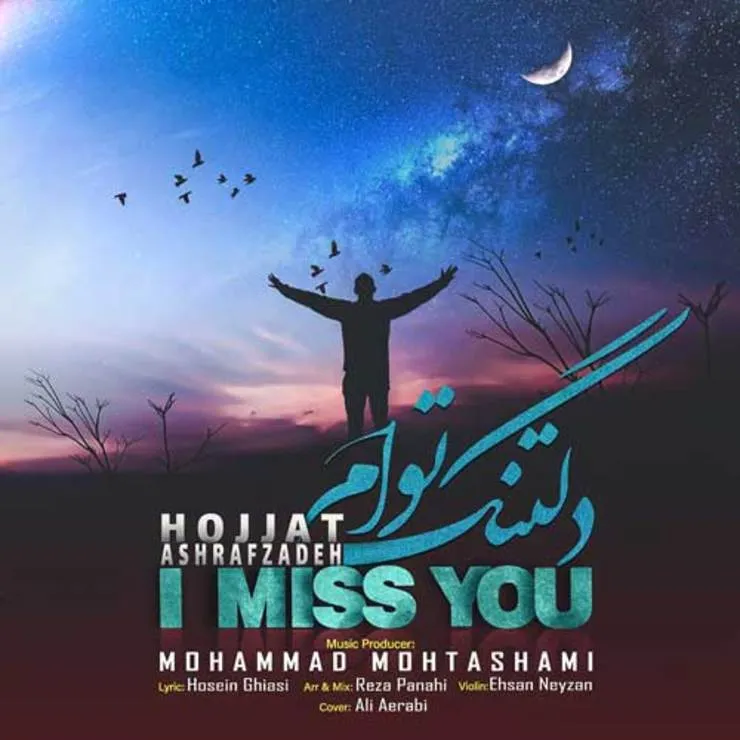 دانلود آهنگ جدید حجت اشرف‌ زاده به نام دلتنگ توام+متن ترانه