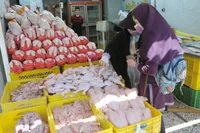 عرضه زیاد مرغ در بازار تهران، قیمت مرغ گرم را کاهش داد (۱۱ آبان ۱۴۰۴)