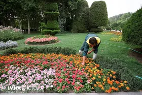 افزایش فضای سبز به پایداری آب در کشور کمک می&zwnj;کند