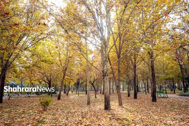 طبیعت پاییزی بوستان های مشهد