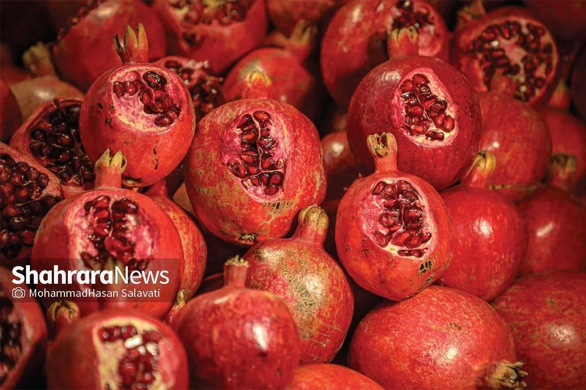 قیمت امروز میوه و تره‌بار در مشهد (۹ دی ۱۴۰۴) | انار کیلویی چند؟