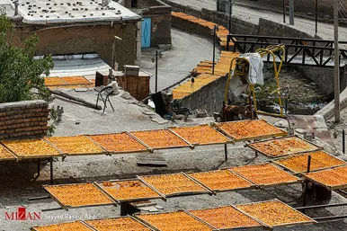 بام‌های طلایی خرو