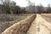 خشکسالی ۱۸ هزار و ۱۵۶ میلیارد تومان به بخش کشاورزی خراسان رضوی خسارت زد