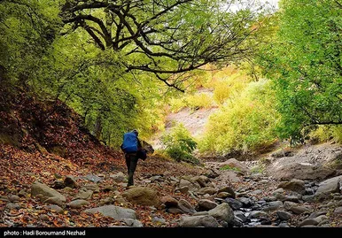 ایران زیباست | پاییز در ارسباران