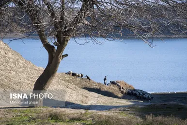 گزارش تصویری | سدهای تشنه استان گلستان - دی ماه ۱۴۰۴