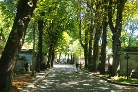 لزوم بازنگری در سیاست&zwnj;های فضای سبز شهر&zwnj;ها | بیش از ۶۰ درصد گونه&zwnj;های درختان در معرض خطر نابودی قرار دارد
