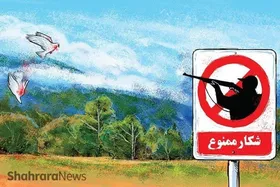 حیاتِ بی&zwnj;حمایتِ محیط&zwnj;بانان | اصلاح قانون، خواسته محیط بانان کشور