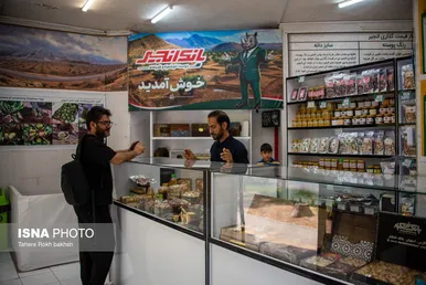 ایران زیباست | بزرگترین انجیرستان دیم جهان - استهبان