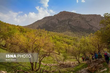 کردستان زیبا؛ طبیعت «دالاهو وریجاب»