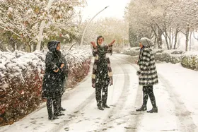 نخستین برف پاییزی، مشهدی&zwnj;ها را غافل&zwnj;گیر و مدارس را تعطیل کرد