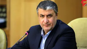 رئیس سازمان انرژی اتمی: دشمن گزینه&zwnj;ای جز دیپلماسی ندارد