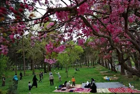 وضعیت آب&zwnj;وهوای همه استان&zwnj;های کشور در روز سیزده&zwnj;بدر (۱۳ فروردین ۱۴۰۲) + جدول هواشناسی