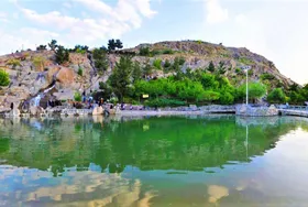 ماجرای پرنده&zwnj;خواری در پارک کوهسنگی مشهد چه بود؟