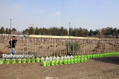 پویش سراسری درخت‌کاری در بوستان جهانشهر