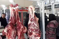 تأمین، واردات و توزیع دام و گوشت در کشور بدون مشکل در جریان است