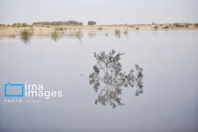 گزارش تصویری | ورود آب به سیستان پس از سال‌ها خشکسالی