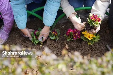 کاشت گل‌های بهاری توسط دانش آموزان در مشهد