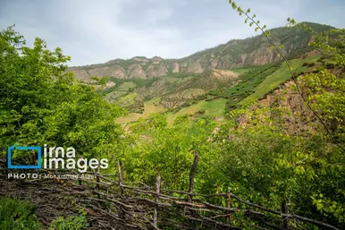 ایران زیباست | بهارِ گلستان