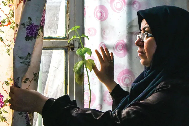 کارآفرینی به سبک لیلا خانم