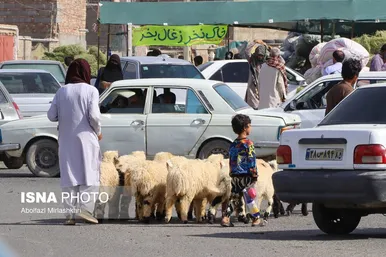 گزارش تصویری | عید قربان در زاهدان