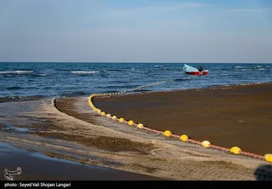 صید ماهی استخوانی - مازندران