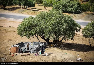 عبور عشایر از خرم آباد