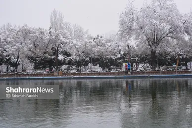 گزارش تصویری | بارش زیبای برف در مشهد