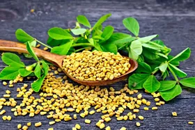 آشنایی با خواص شگفت انگیز شنبلیله