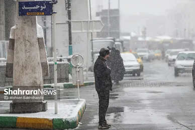 گزارش تصویری | بارش برف در مشهد (۲۱ بهمن ۱۴۰۳)