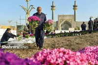 بهار راهش را پیدا می‌کند