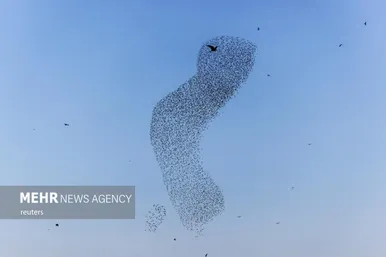 پرواز شگفت انگیز سارها