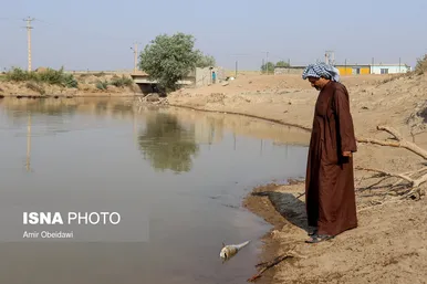 رهاسازی آب سد کرخه، از سوسنگرد تا هورالعظیم