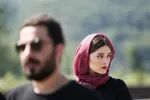 هرآنچه باید درباره سریال «قورباغه» و حواشی‌اش بدانید + عکس و تریلر جدید