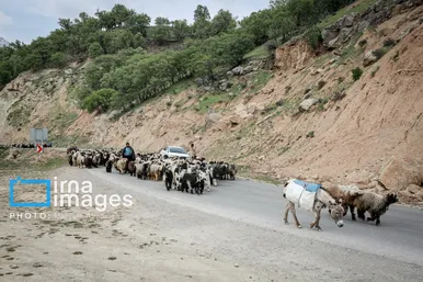 گزارش تصویری | «زندگی عشایری»