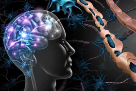 استعمال دخانیات پیشرفت بیماری &laquo;ام&zwnj; اس&raquo; را تشدید می&zwnj;کند