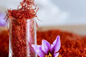 تولید زعفران امسال به ۳۵۰ تن می&zwnj;رسد | زعفران تولیدی به ۶۰ کشور دنیا صادر می&zwnj;شود