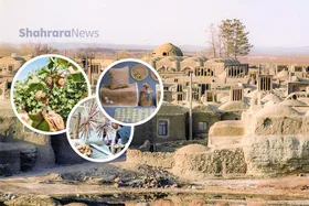 دانستنی&zwnj;های نوجوان |&zwnj; خوسف، شهر ملی مله&zwnj;بافی