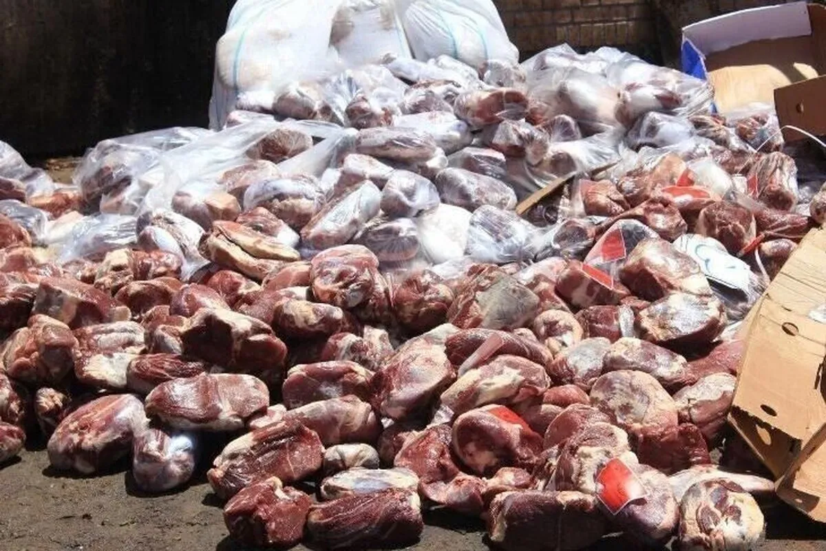 معدوم‌سازی ۳۳۸ تن لاشه ضبط‌شده دام و طیور در خراسان رضوی طی ۹ ماه نخست سال جاری