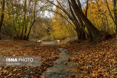 طبیعت پاییزی شهرستان سامان