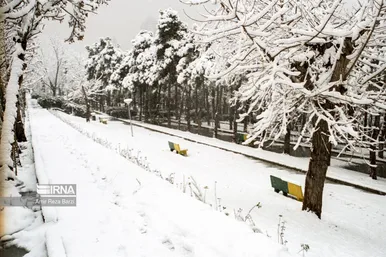 عکس‌هایی از برف سال ۱۳۴۲