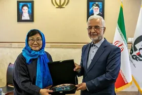 دبیرکل ستاد مبارزه با موادمخدر: سازمان&zwnj;ملل قاچاق موادمخدر از افغانستان را تهدید در نظر بگیرد