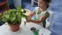 ۹ گیاه آپارتمانی سمی که برای کودکان خطرناک هستند!