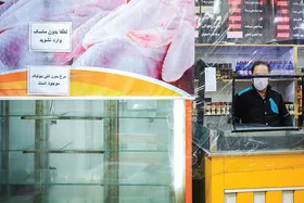 گزارشی میدانی از توزیع&zwnj;نشدن مرغ در بازار مشهد | بازار مرغ در قرق سودجویان