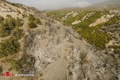 آتش سوزی منطقه حفاظت شده جهان نمای  گلستان