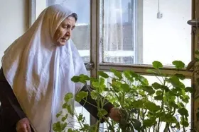 رونمایی از طرح توانمندسازی زنان سالمند در آینده&zwnj;ای نزدیک