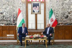 عکس&zwnj;هایی از دیدارهای رئیس مجلس با میهمانان خارجی مراسم تحلیف