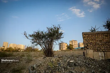 گزارش تصویری | بازدید مدیران استانی، ستاد بحران استان و مدیران شهرداری از مسیل‌ها و ارتفاعات جنوبی مشهد