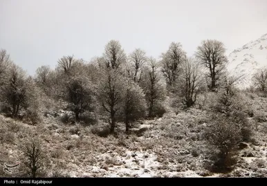 زمستان در اشکورات گیلان