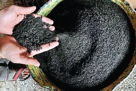 صدور احکام دو پرونده تعزیراتی در خراسان رضوی